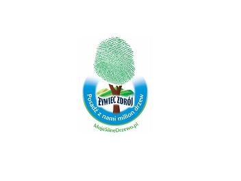 moje silne drzewo - logo